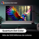 Smart TV Hisense 55" Mini-Led con Google TV Serie U6N